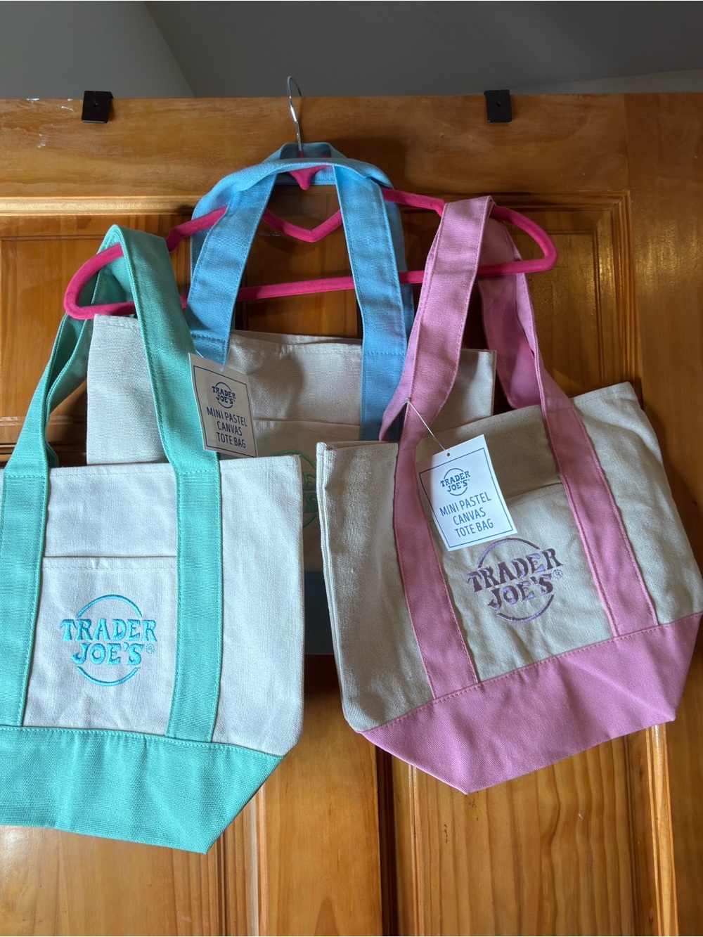 Trader Joe's Mini Pastel Canvas Tote - Pink
